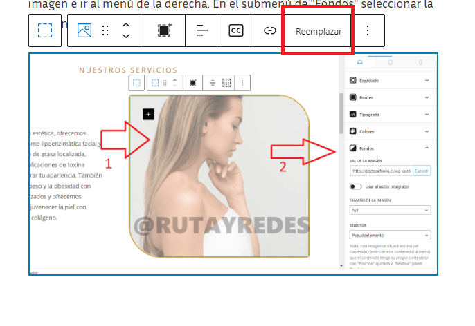 guia-e1723769589465